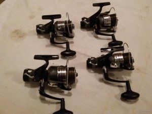 20181112_113508.jpg