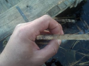 IMG_20181113_141311_353[1].jpg
