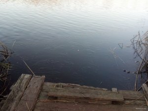 IMG_20181113_141748_148[1].jpg