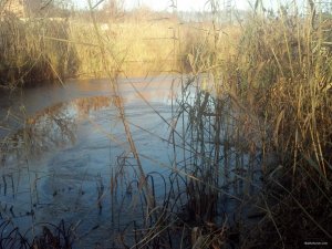 IMG_20181113_143617_212[1].jpg