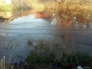 IMG_20181113_144741_557[1].jpg
