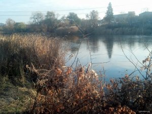 IMG_20181113_145421_132[1].jpg