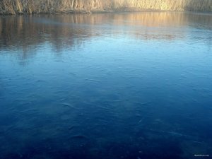 IMG_20181113_150226_901[1].jpg