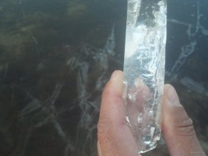 IMG_20181113_150409_112[1].jpg