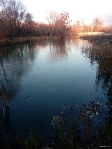 IMG_20181113_151420.jpg