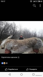 image-0-02-05-71897a7abe0e60a64ffcd9e0555fd067013eb1dfc908667f862c3280b8e2903f-V.jpg