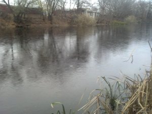 IMG_20181114_072222_503.jpg