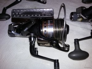 20181112_114520.jpg