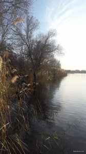 20181114_133536.jpg