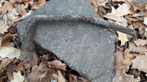 20181115_082812.jpg