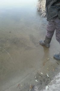 IMG-0e97f020ae9aeb8ab4bc25ddefff97a2-V.jpg