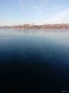 IMG_20181118_083158.jpg