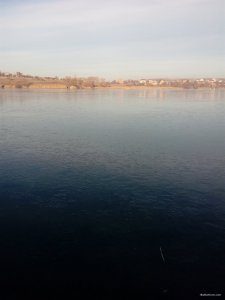 IMG_20181118_083206.jpg
