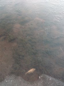 IMG_20181118_083216.jpg