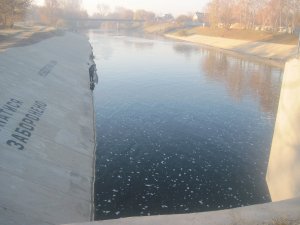 IMG_9484.JPG