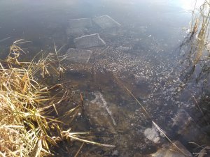 IMG_20181118_125310.jpg