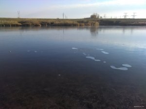 IMG_20181118_125453.jpg