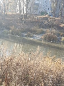 20181118_102534.jpg