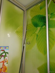 DSC_0895-1656x2208.JPG