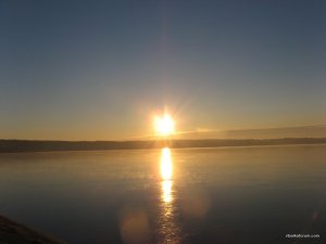IMG_4108.JPG
