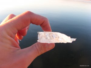 IMG_4112.JPG
