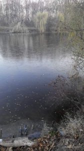 received_691257794606496.jpeg