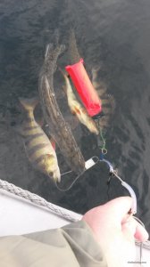 20181117_121146.jpg