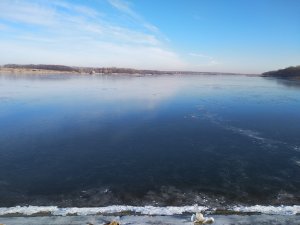 IMG_20181118_104613.jpg