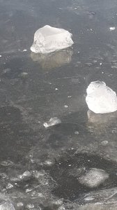 20181119_105812.jpg