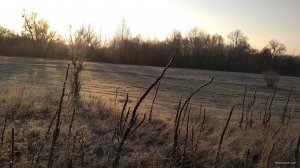 IMG_20181119_074928.jpg