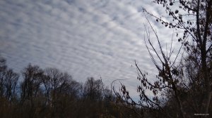 IMG_20181119_112142.jpg