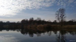 IMG_20181119_112150.jpg