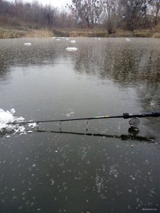 IMG_20181121_104142.jpg