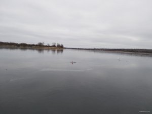 IMG_20181121_114625.jpg