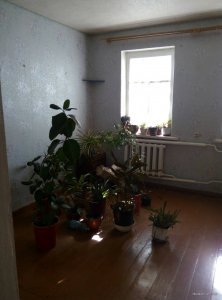0-02-04-e8b579c9db817cc9f4dd3f65ec953de4899f99cd45436a2a18206663ca44fe86_6ed0c20d.jpg