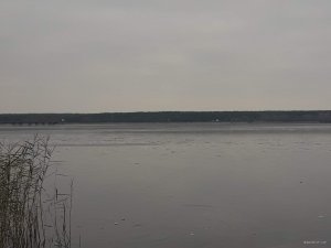 20181122_092528.jpg