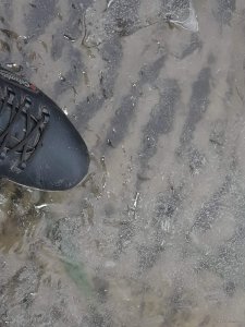 20181122_092728.jpg