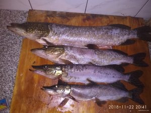 IMG_20181122_204109.jpg