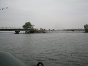 IMG_7176.JPG