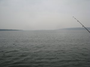 IMG_7177.JPG