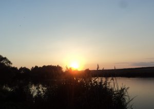DSC03680_thumb.jpg