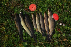 IMG_5833.jpg