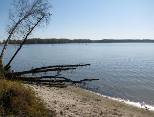 IMG_7197.JPG