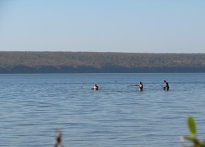 IMG_7203.JPG
