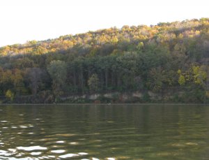 IMG_7291.JPG
