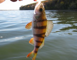 IMG_7248.JPG