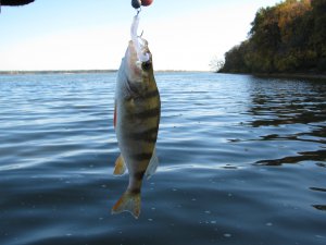 IMG_7232.JPG