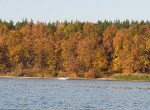 IMG_7364.JPG