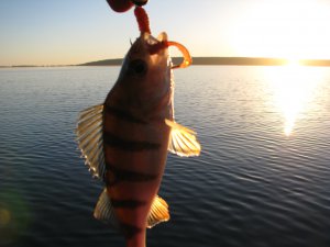 IMG_7397.JPG
