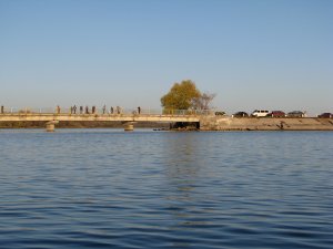 IMG_7393.JPG